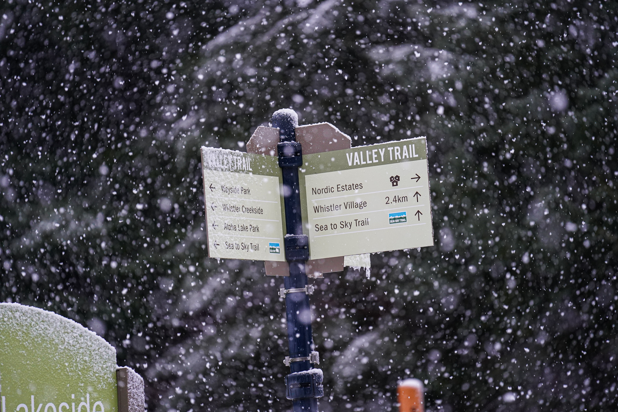 Whistler
