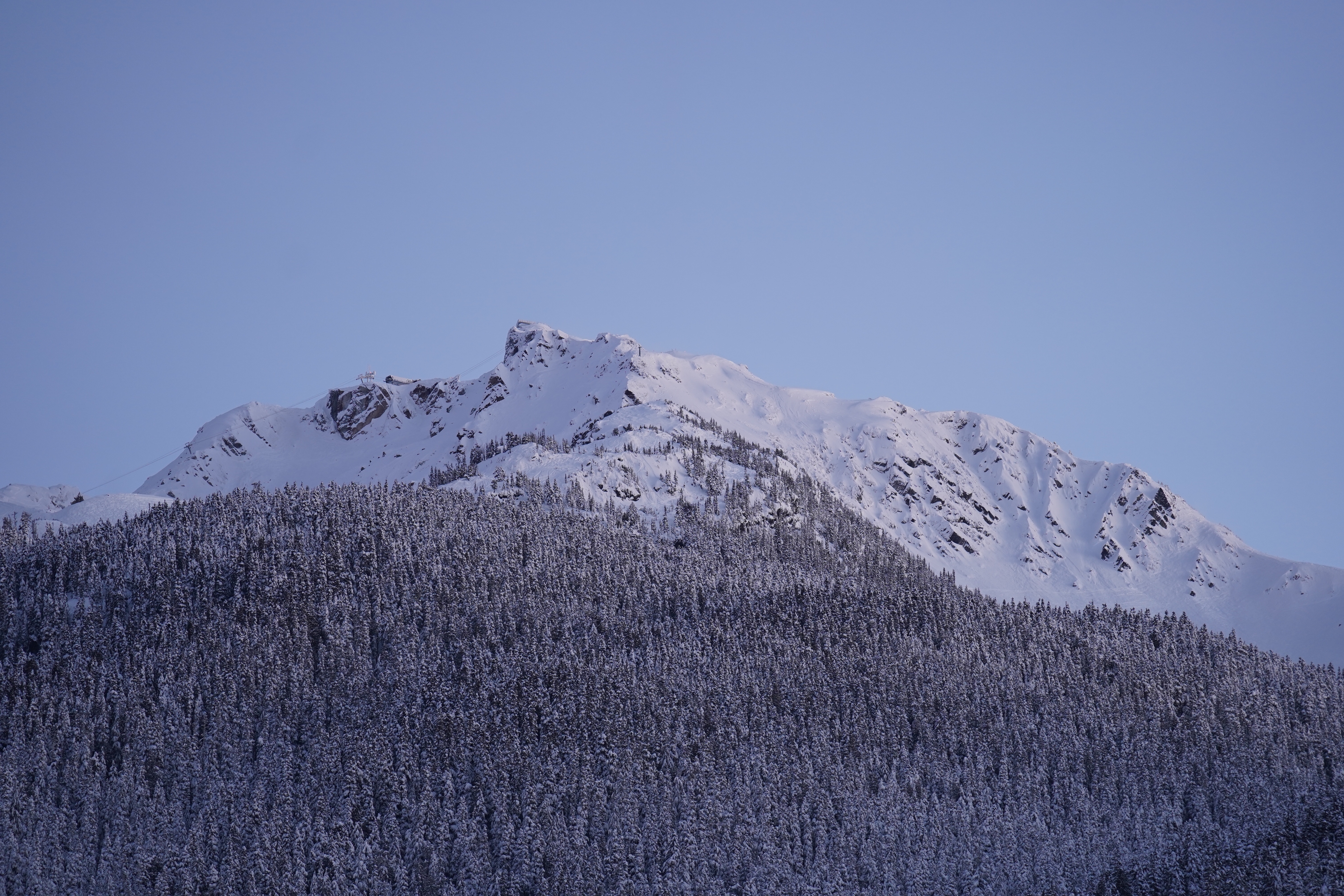 Whistler